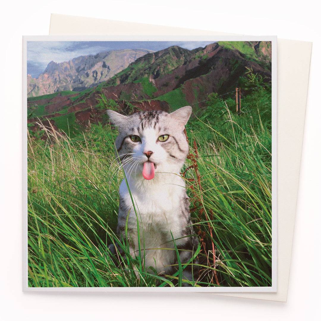Cat Mountain Card