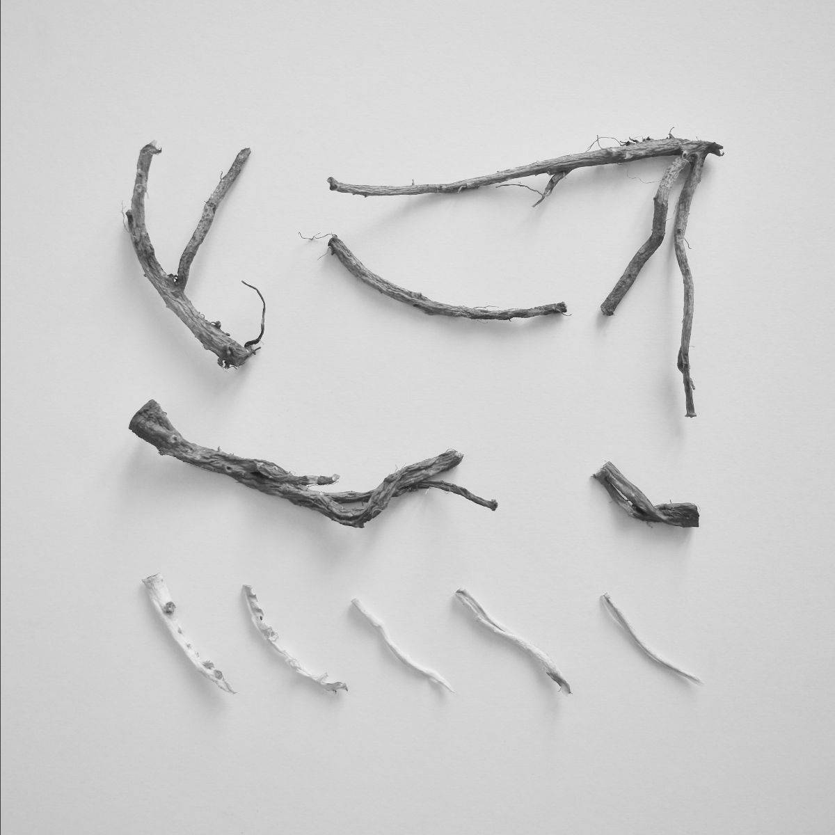 These Charms May be Sung Over a Wound