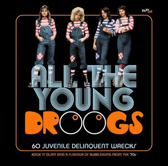 All the Young Droogs - 60 Juvenile Delinquent Wrecks - Rock 'n' Glam (And a Flavour of Bubblegum) From the 70s