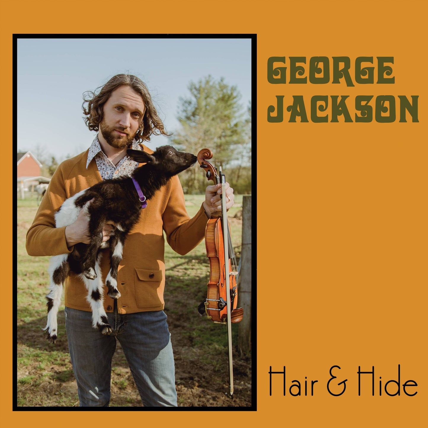 Hair and Hide