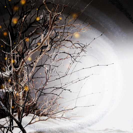 Winterlight