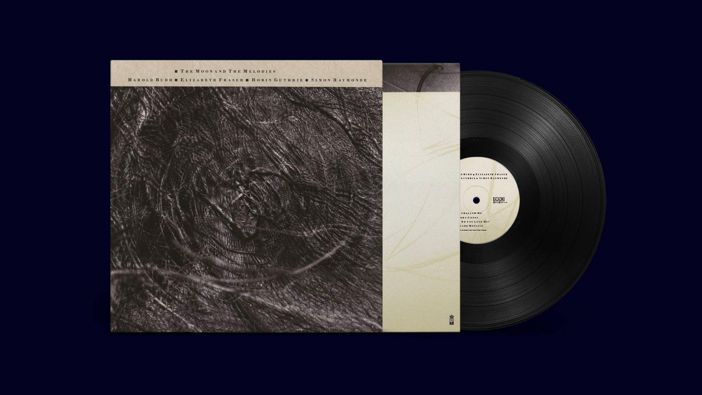 16x9 Moon and melodies LP (vinyl out) copy.jpg