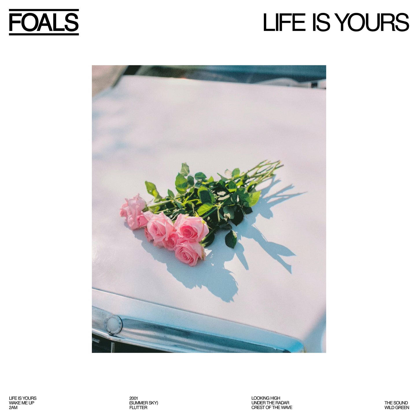 Life is Yours
