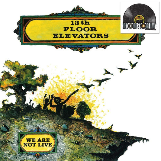 13th Floor Elevators - We Are Not Live - RSD 2026 Product Image