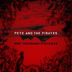 One Thousand Pictures