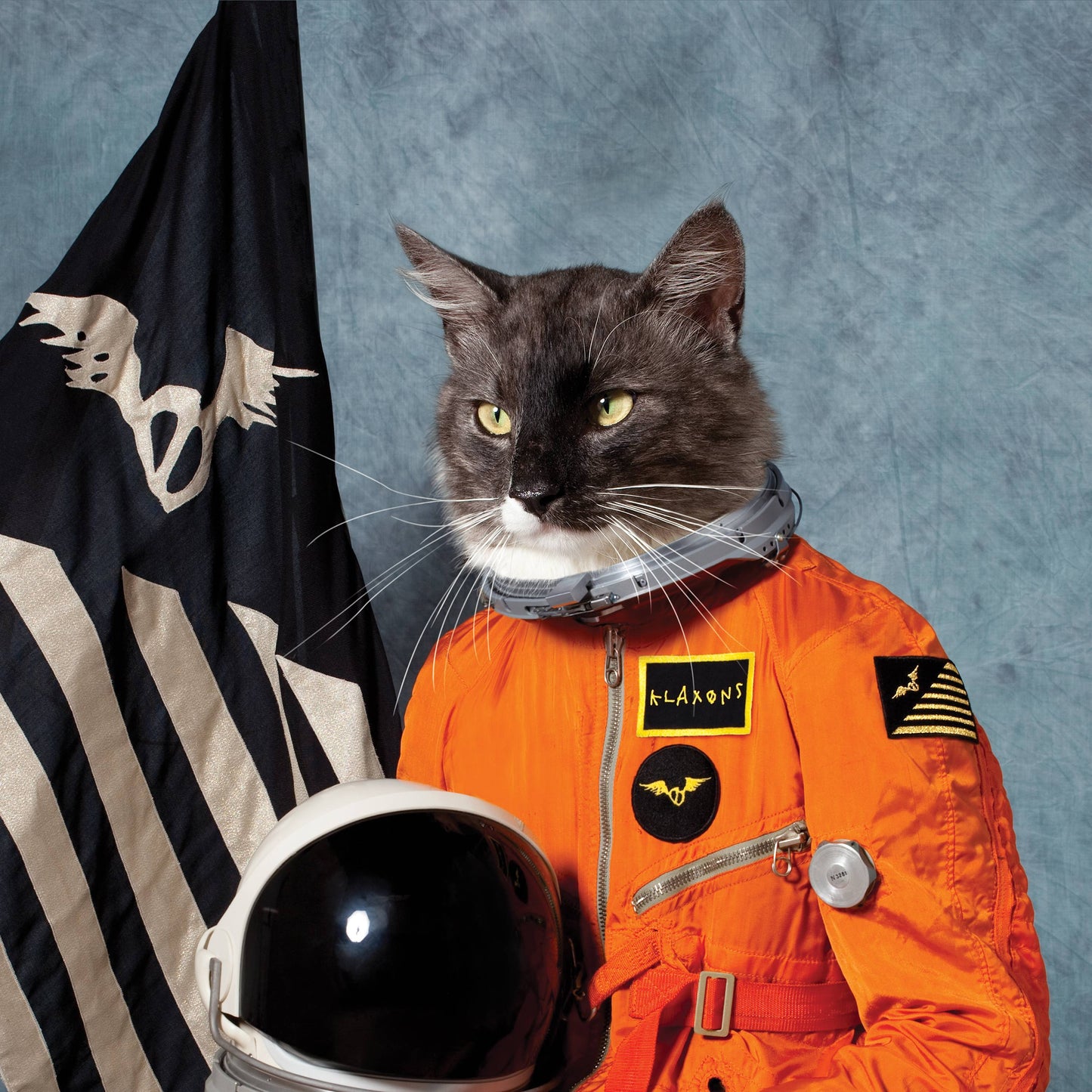 Surfing the Void RSD 2020
