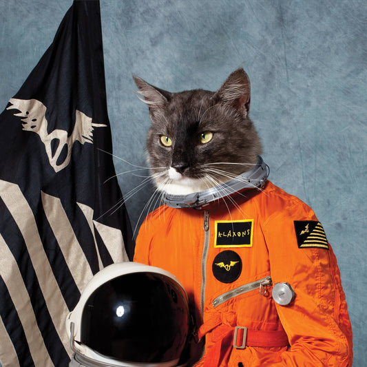 Surfing the Void RSD 2020