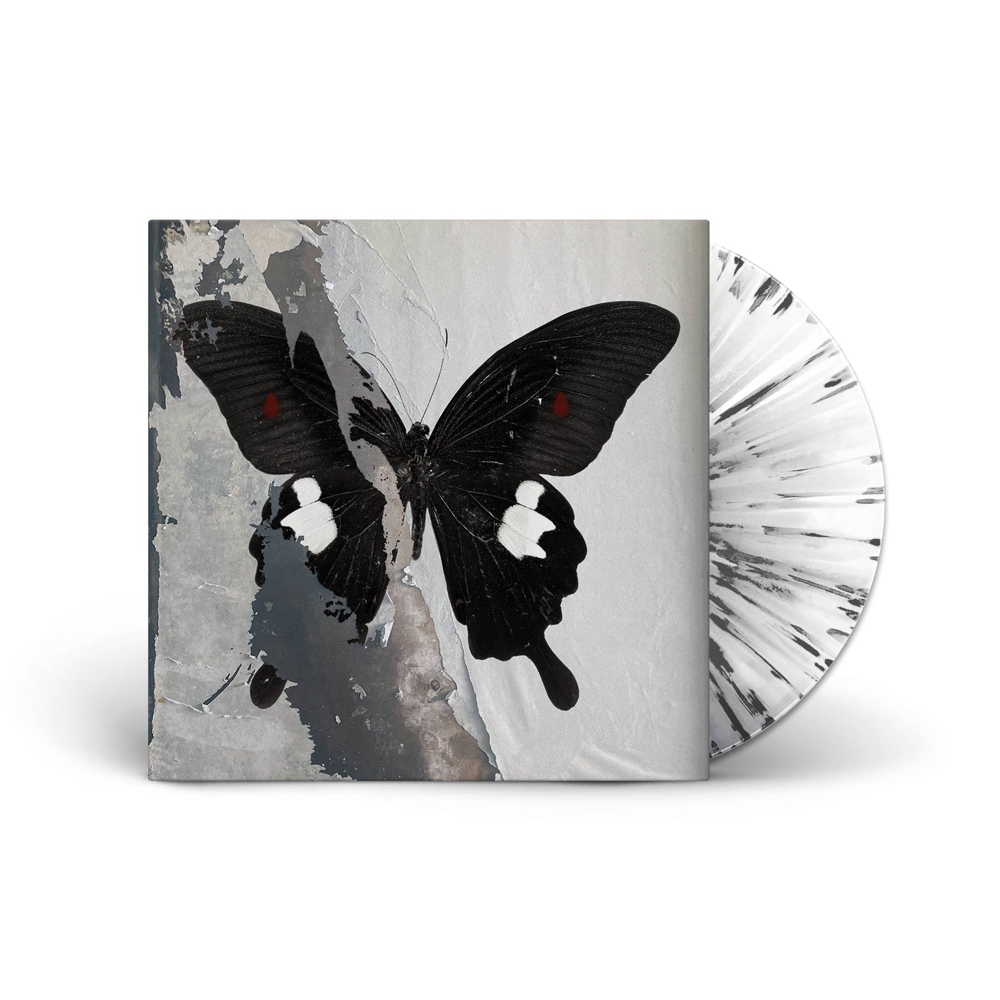 1x1 LP (front) v2.jpg
