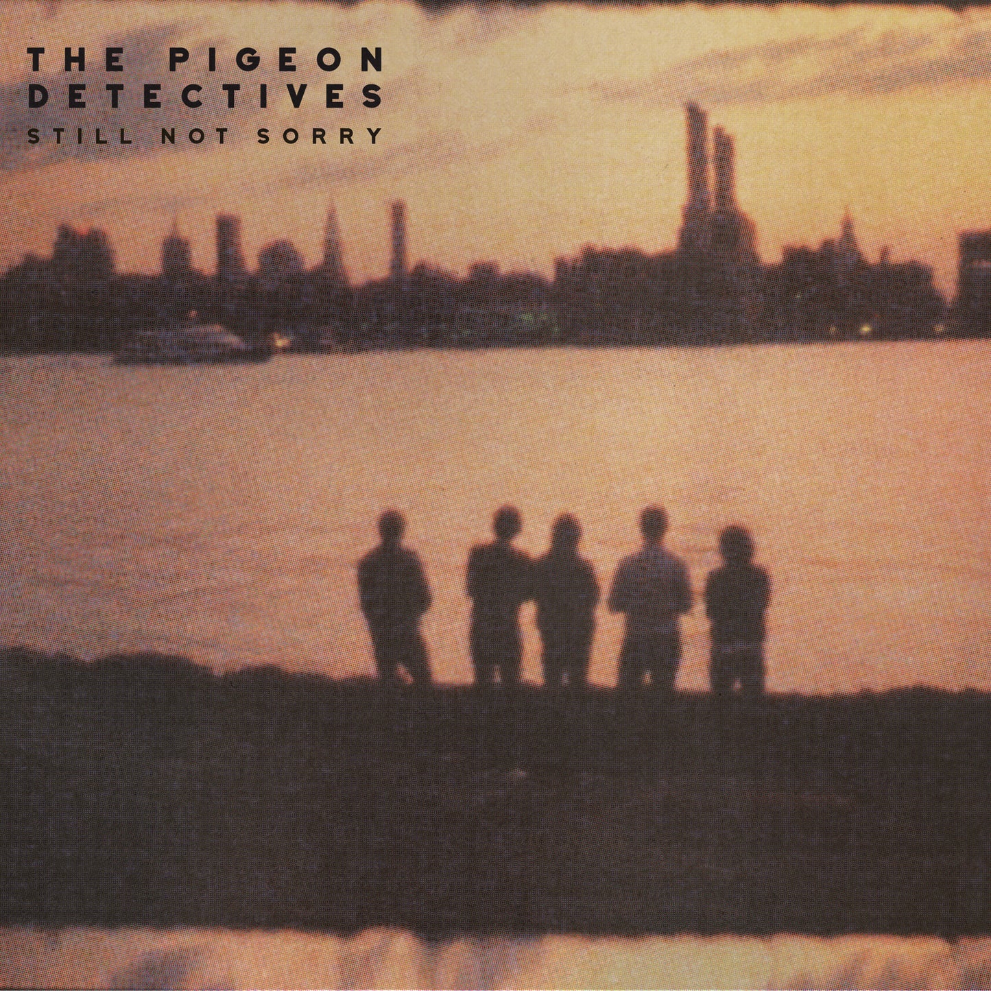 Still Not Sorry - The Best of the Pigeon Detectives