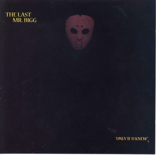 The Last Mr. Bigg - Only If You Knew Album Cover