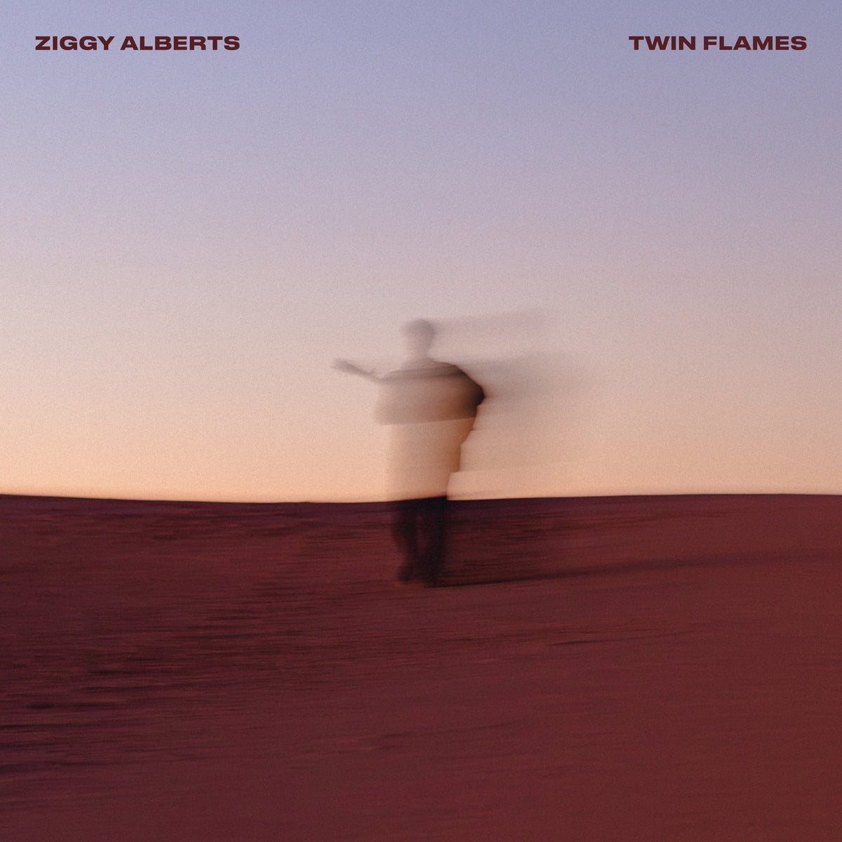 Ziggy Alberts - Twin Flames Album Cover