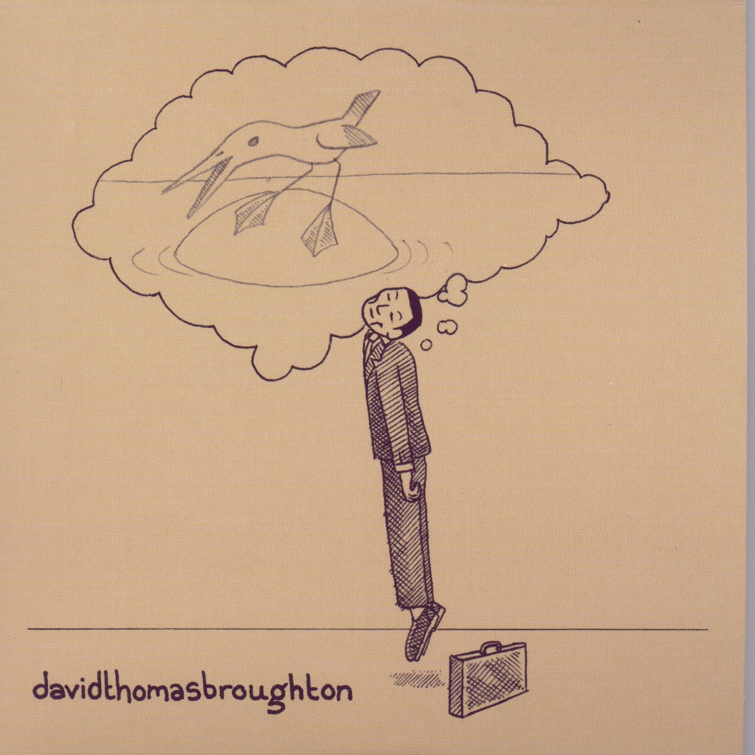 David Thomas Broughton - The Complete Guide To Insufficiency Album Cover