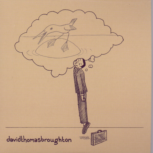 David Thomas Broughton - The Complete Guide To Insufficiency Album Cover