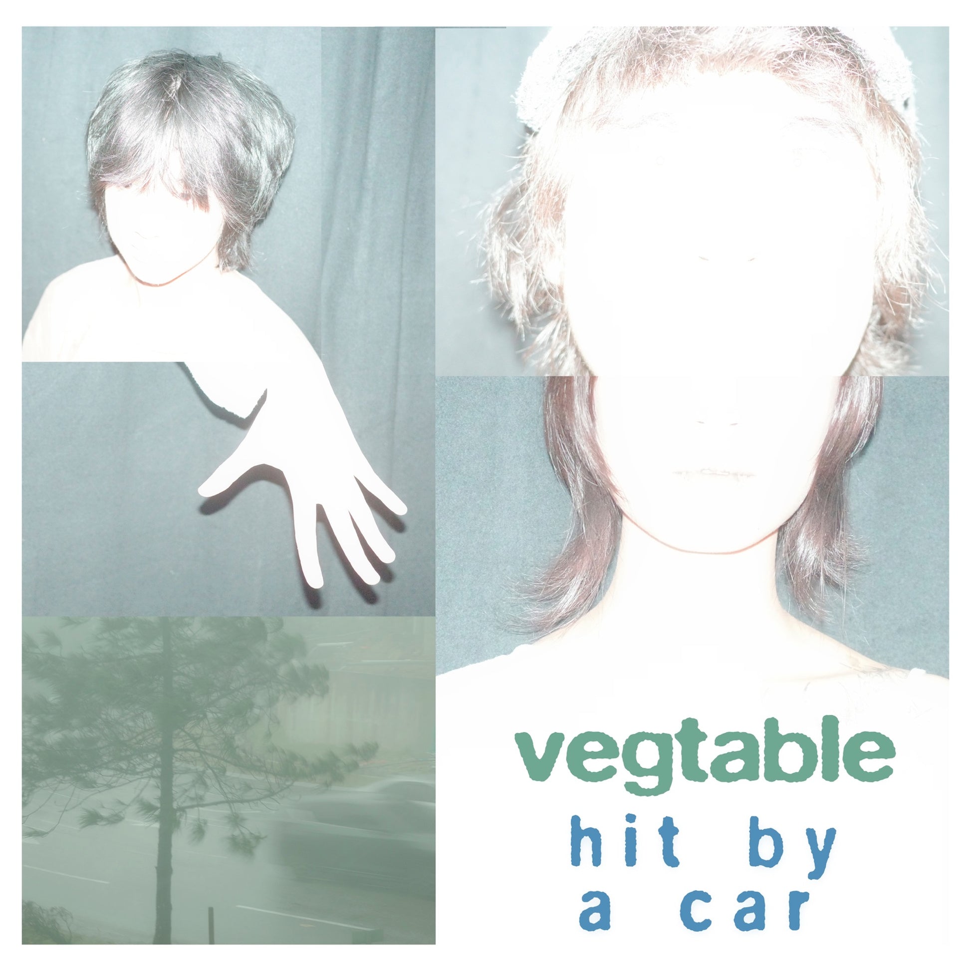Vegtable - Hit By A Car Album Cover