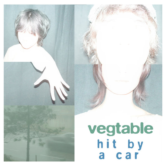 Vegtable - Hit By A Car Album Cover