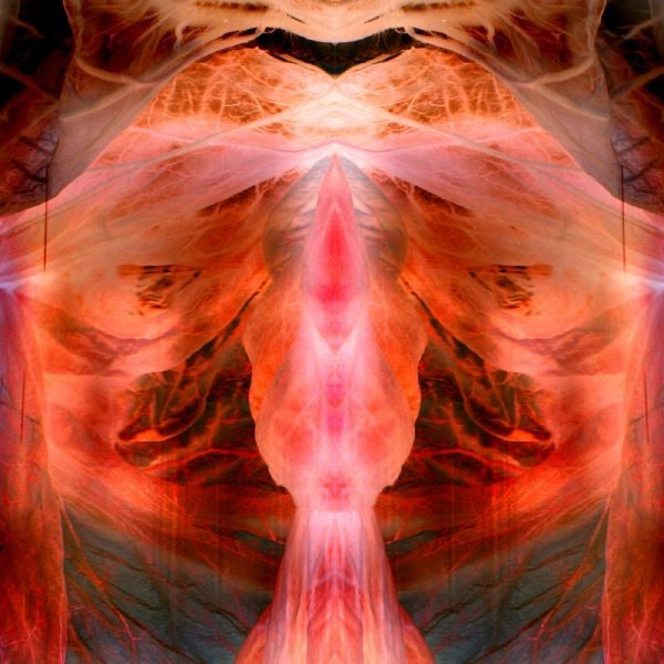Paul Schütze - The Annihilating Angel; or the Surface of the World Album Cover
