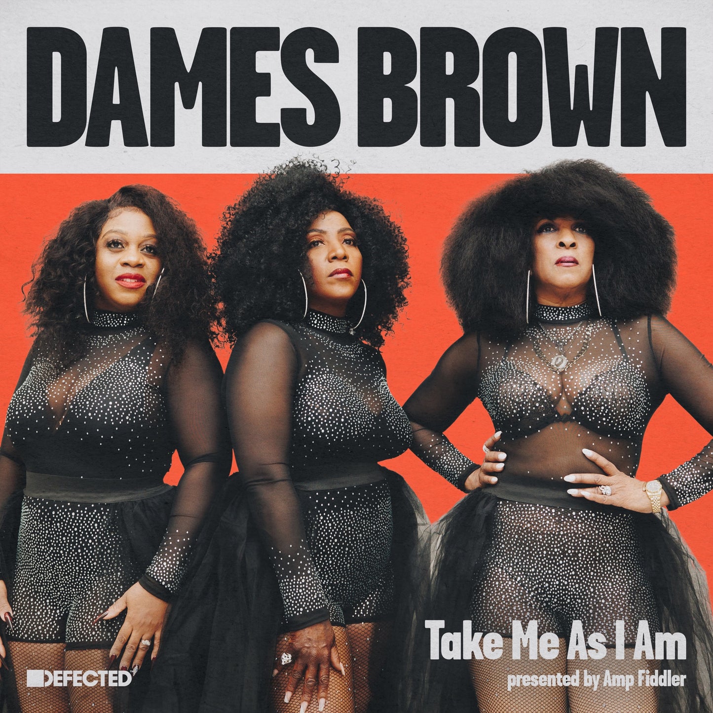 Dames Brown & Amp Fiddler - Take Me as I Am Album Cover