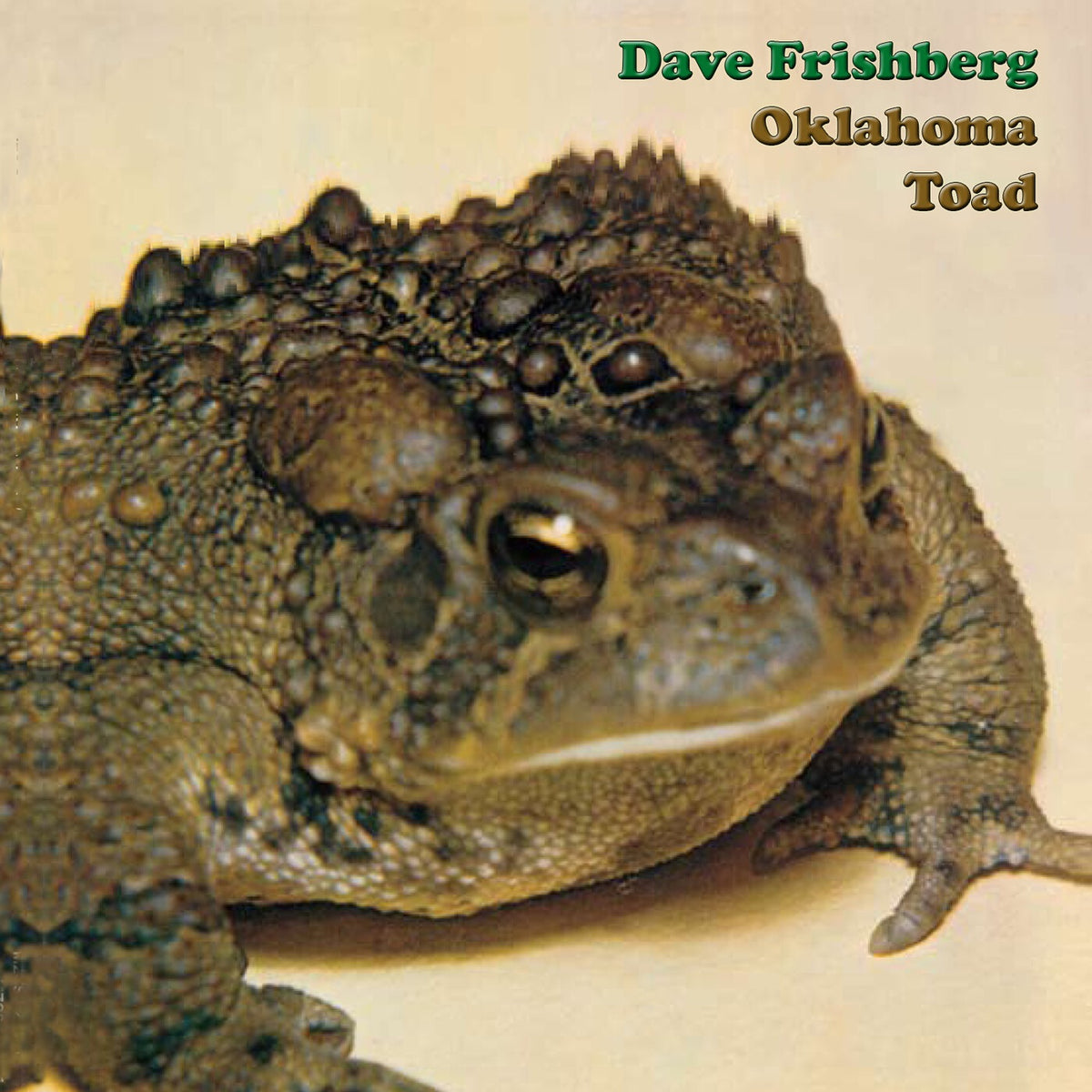 Dave Frishberg - Oklahoma Toad Album Cover