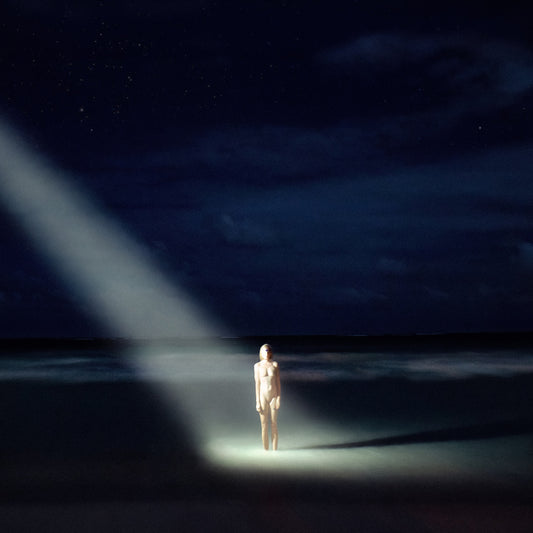 Ellen Allien - New Life Album Cover
