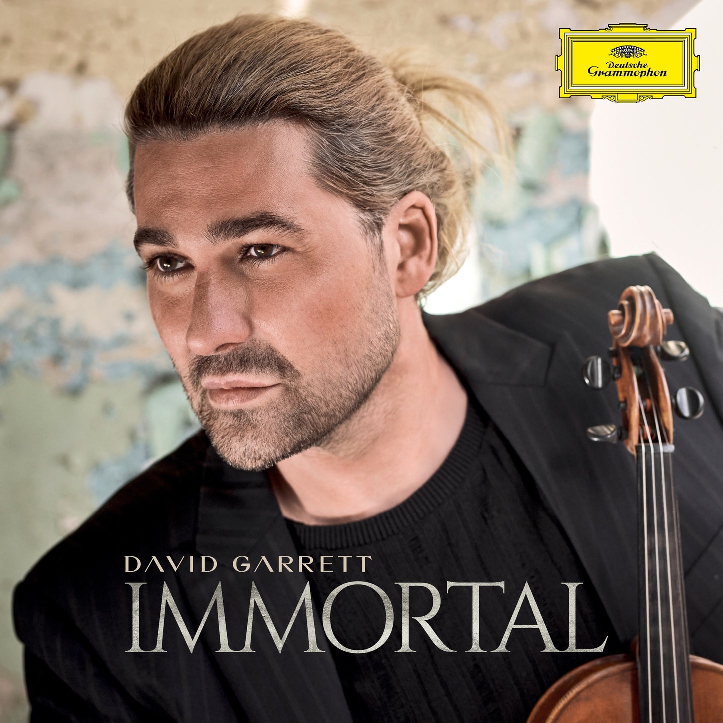 David Garrett, Julien Quentin, Franck van der Heijden & Orchestra the Prezent - Immortal Album Cover