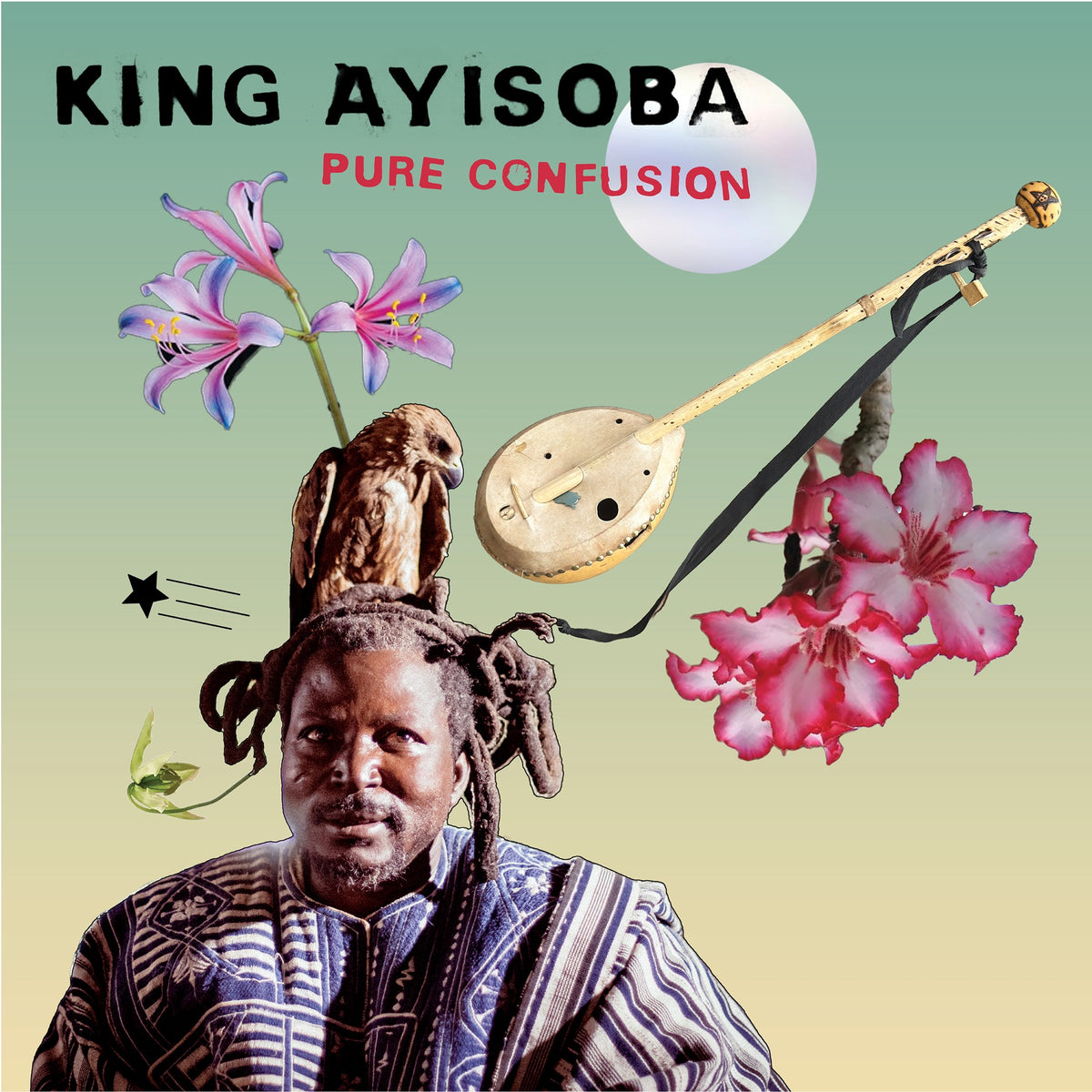 King Ayisoba - Pure Confusion Album Cover
