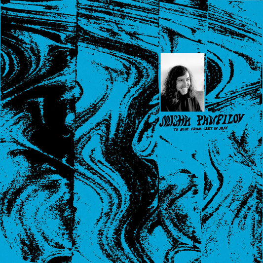 Misha Panfilov - To Blue From Grey in May Album Cover