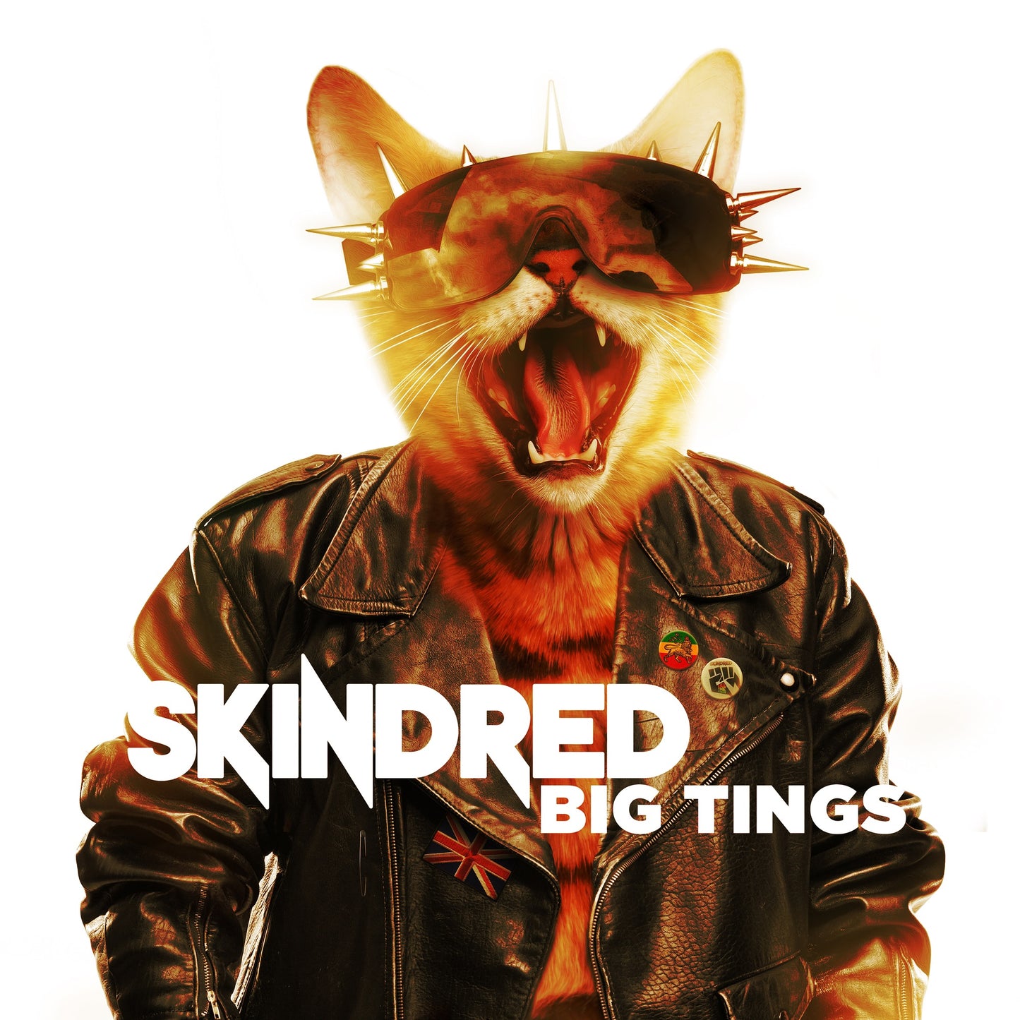 Skindred - Big Tings Album Cover