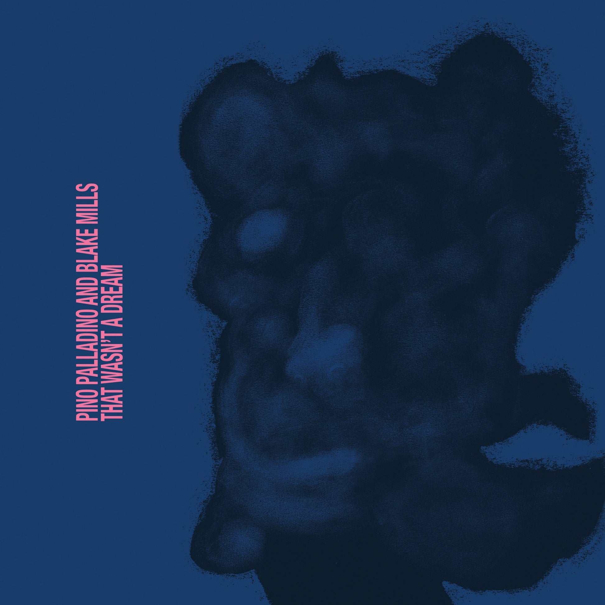 Pino Palladino & Blake Mills - That Wasn't A Dream Album Cover
