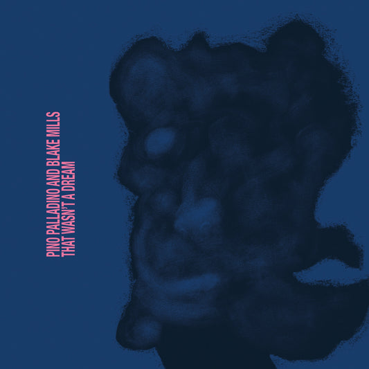 Pino Palladino & Blake Mills - That Wasn't A Dream Album Cover