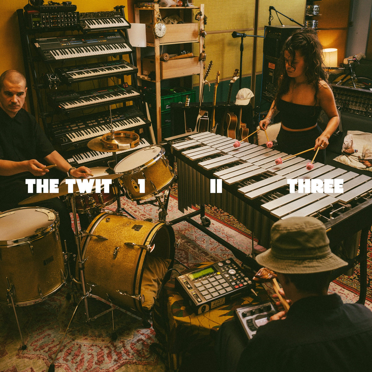 The Twit 1, II, Three - The Twit 1, II, Three Album Cover
