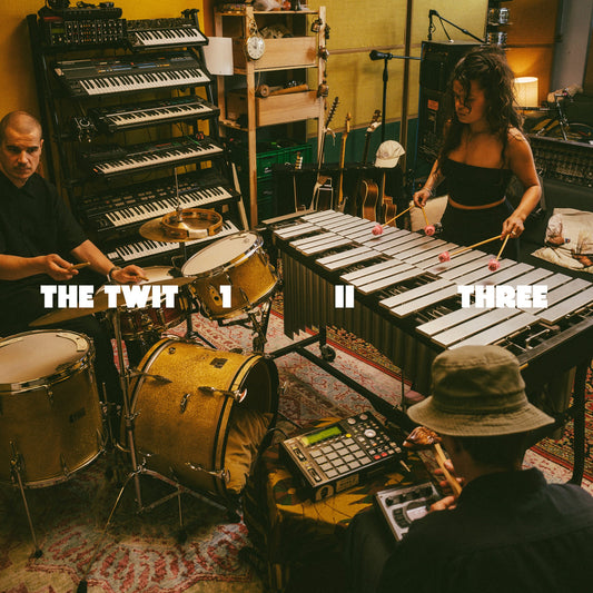 The Twit 1, II, Three - The Twit 1, II, Three Album Cover
