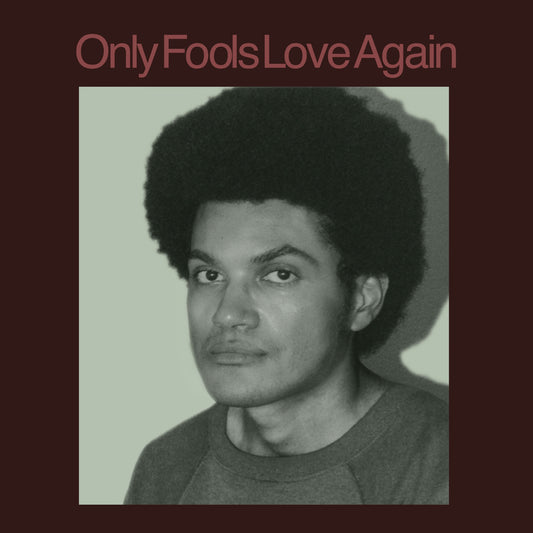 Danny Ayala - Only Fools Love Again Album Cover