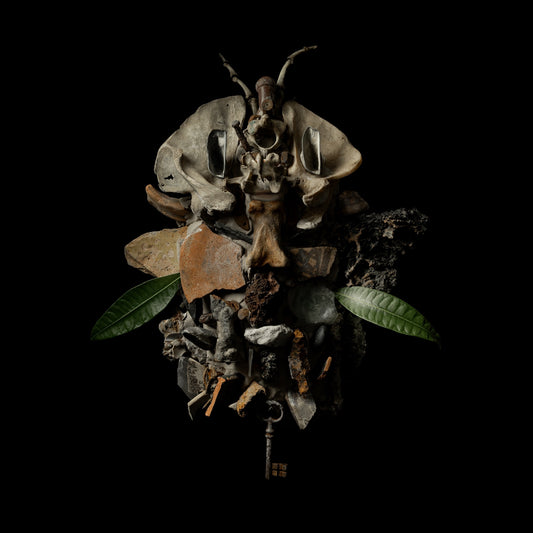 Francesco Fabris - DISPLACES Album Cover