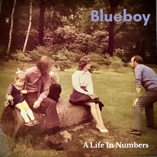Blueboy - A Life in Numbers Album Cover