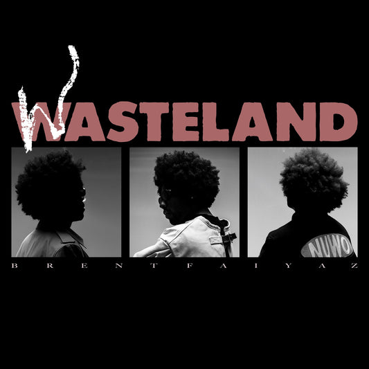 Brent Faiyaz - WASTELAND Album Cover