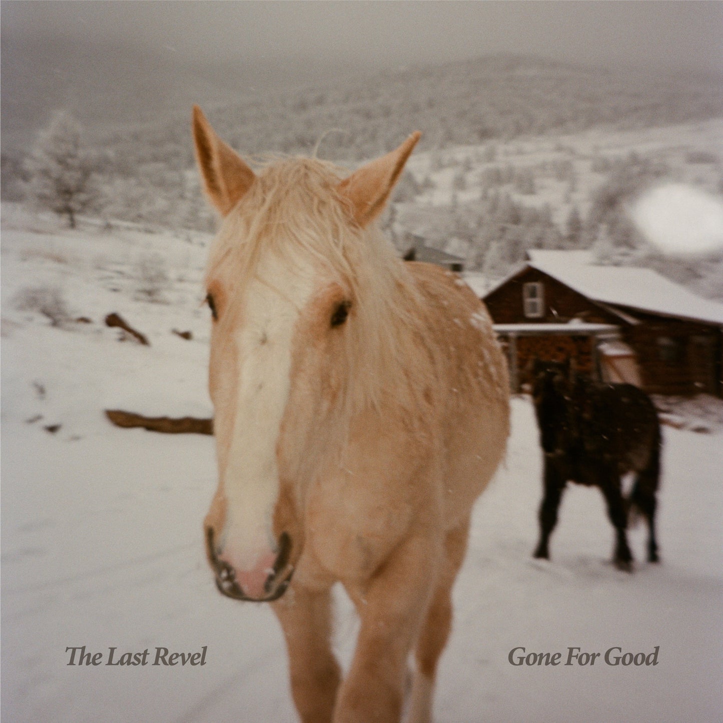 The Last Revel - Gone for Good Album Cover