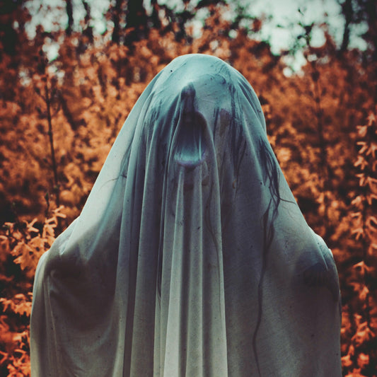 Noctambulist - Noctambulist I: Elegieën Album Cover