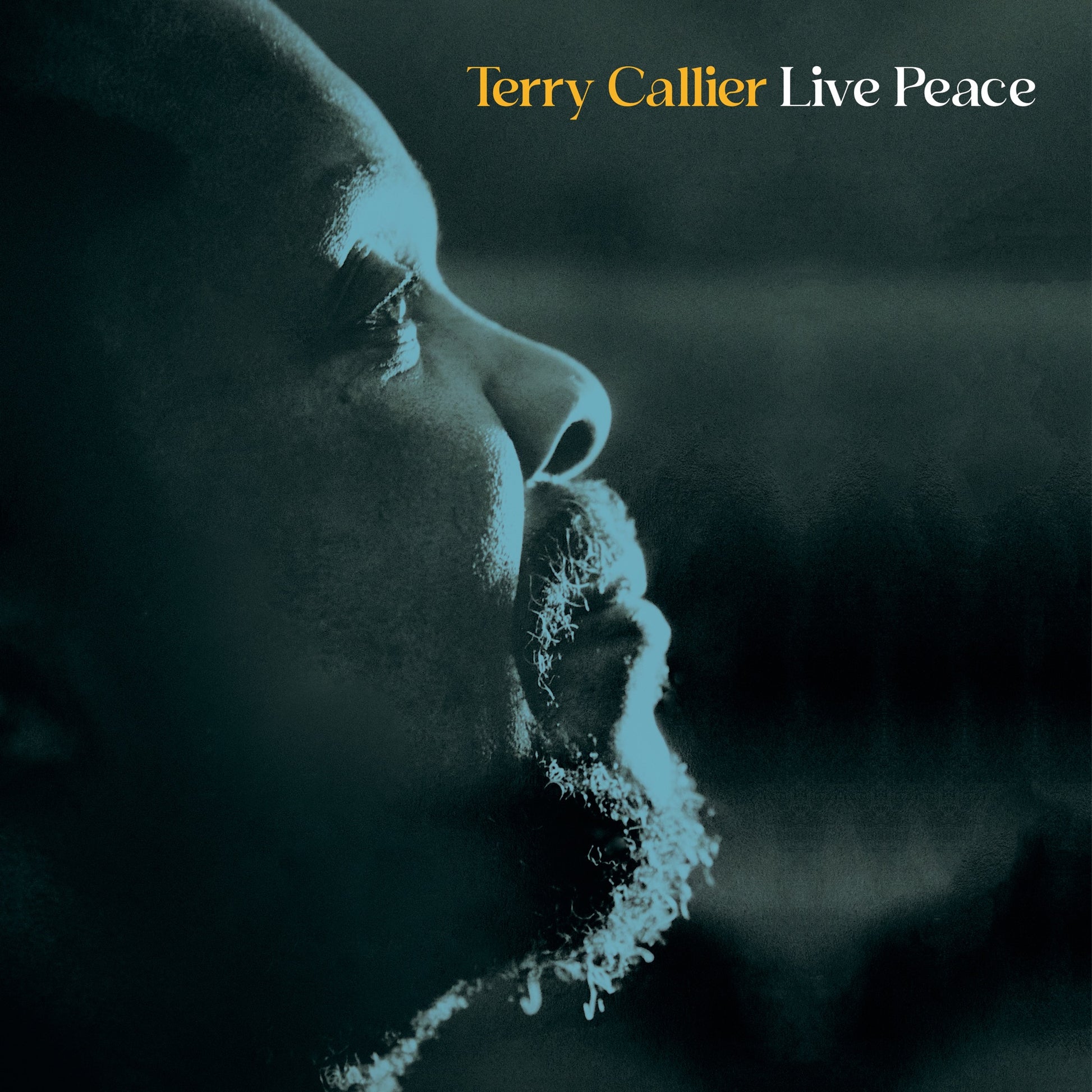 Terry Callier - Live Peace (Live) Album Cover
