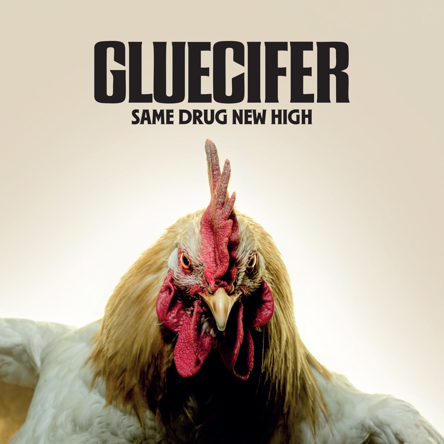 Gluecifer - Same Drug New High Album Cover