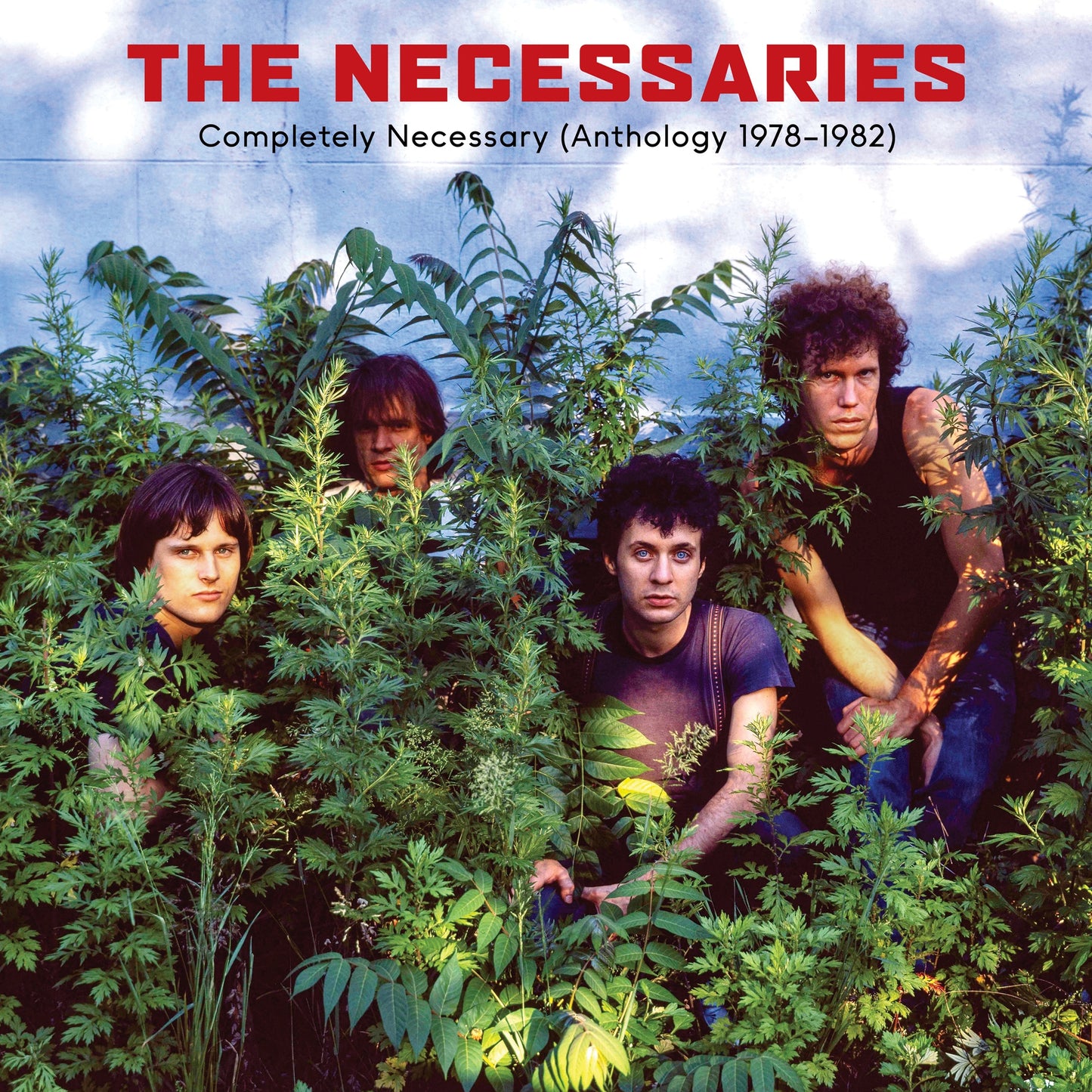 The Necessaries - Completely Necessary (Anthology 1978-1982) Album Cover