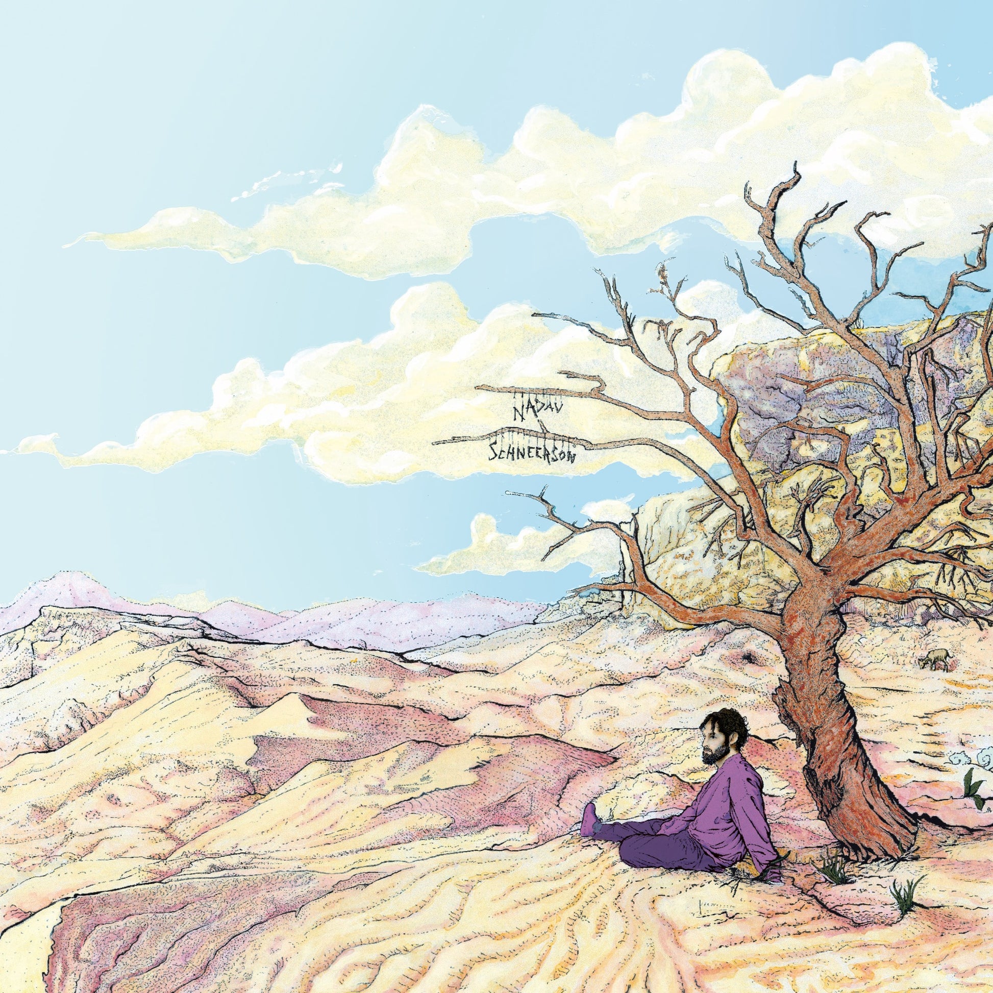 Nadav Schneerson - Sheva Album Cover