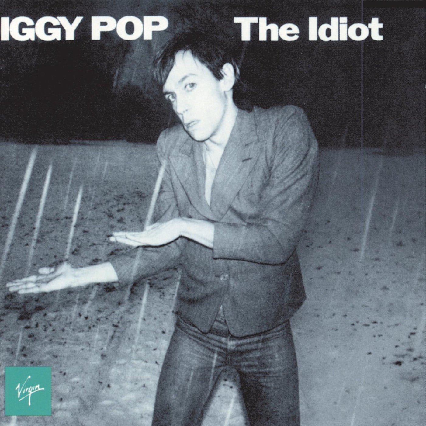 Iggy Pop - The Idiot Album Cover
