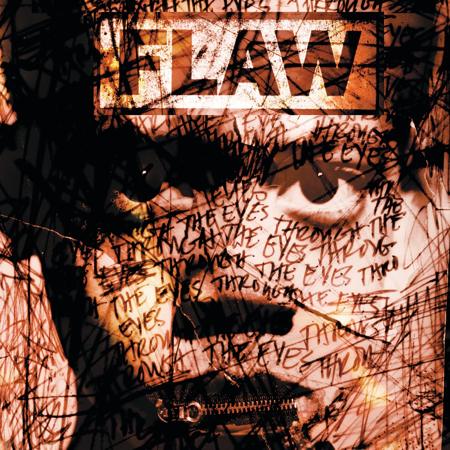 Flaw - Through the Eyes Album Cover
