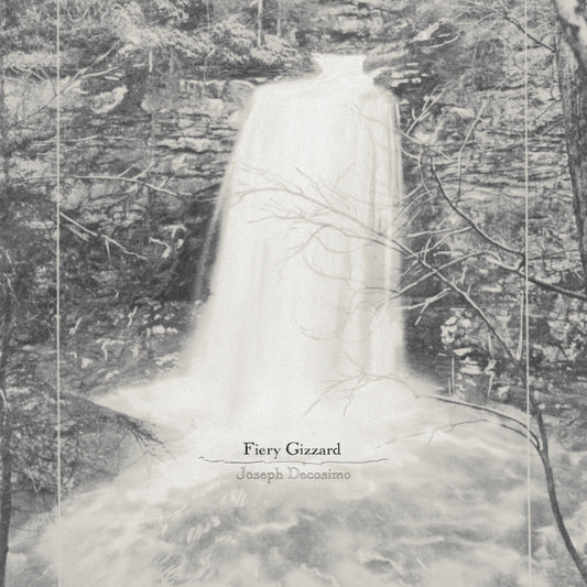 Joseph Decosimo - Fiery Gizzard Album Cover