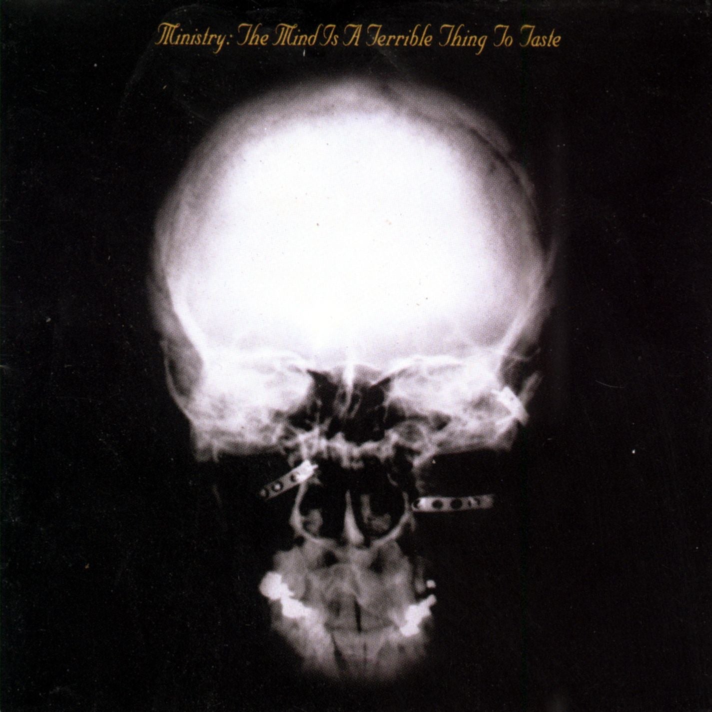 Ministry - The Mind Is a Terrible Thing to Taste Album Cover