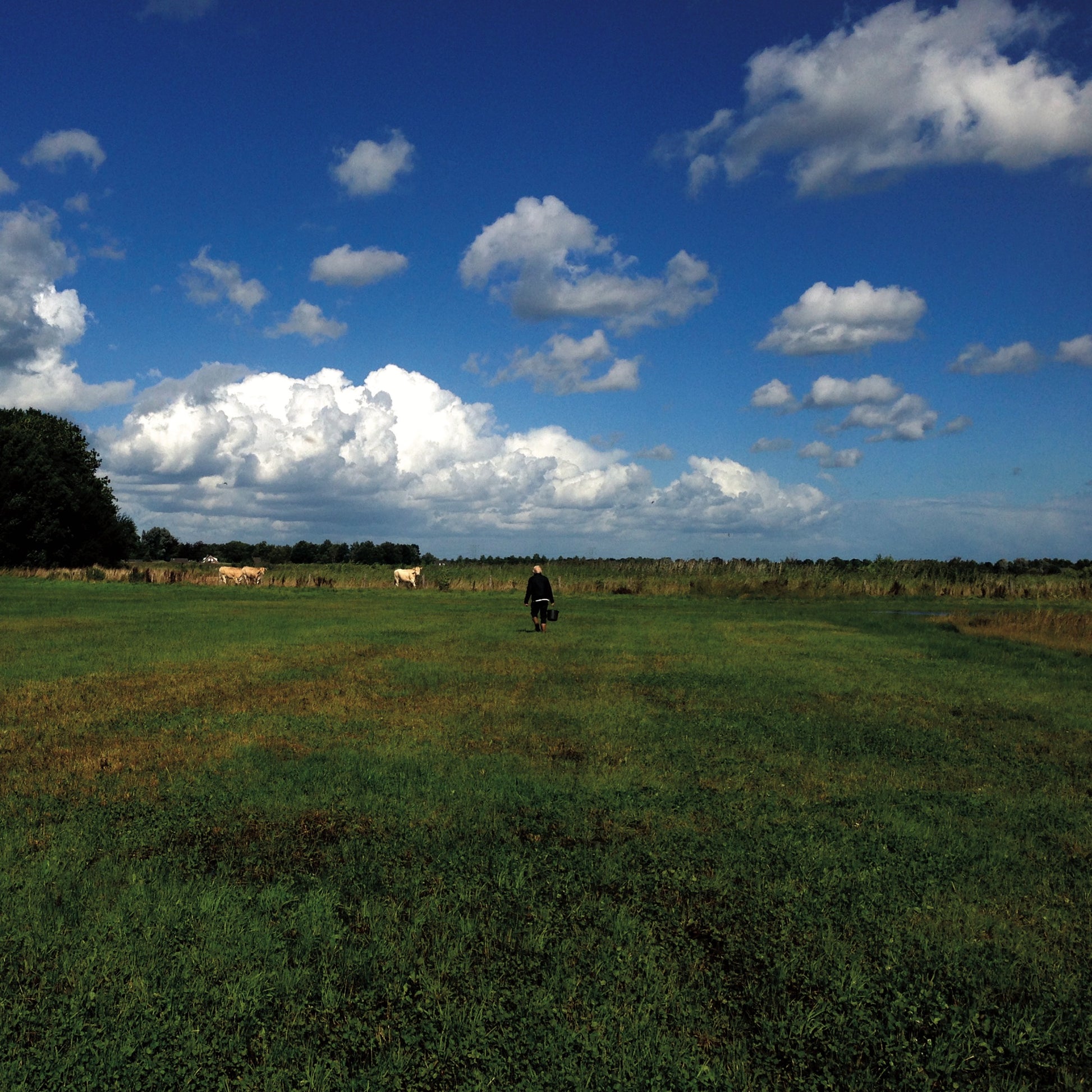 Biosphere - The Hilvarenbeek Recordings Album Cover
