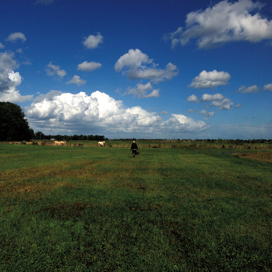 Biosphere - The Hilvarenbeek Recordings Album Cover