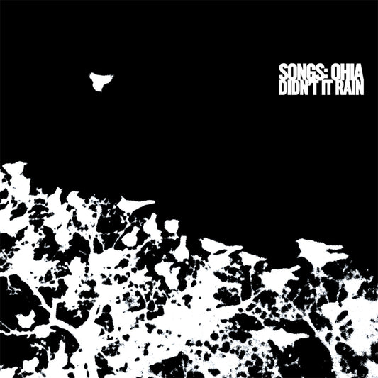 Songs: Ohia - Didn’t It Rain Album Cover