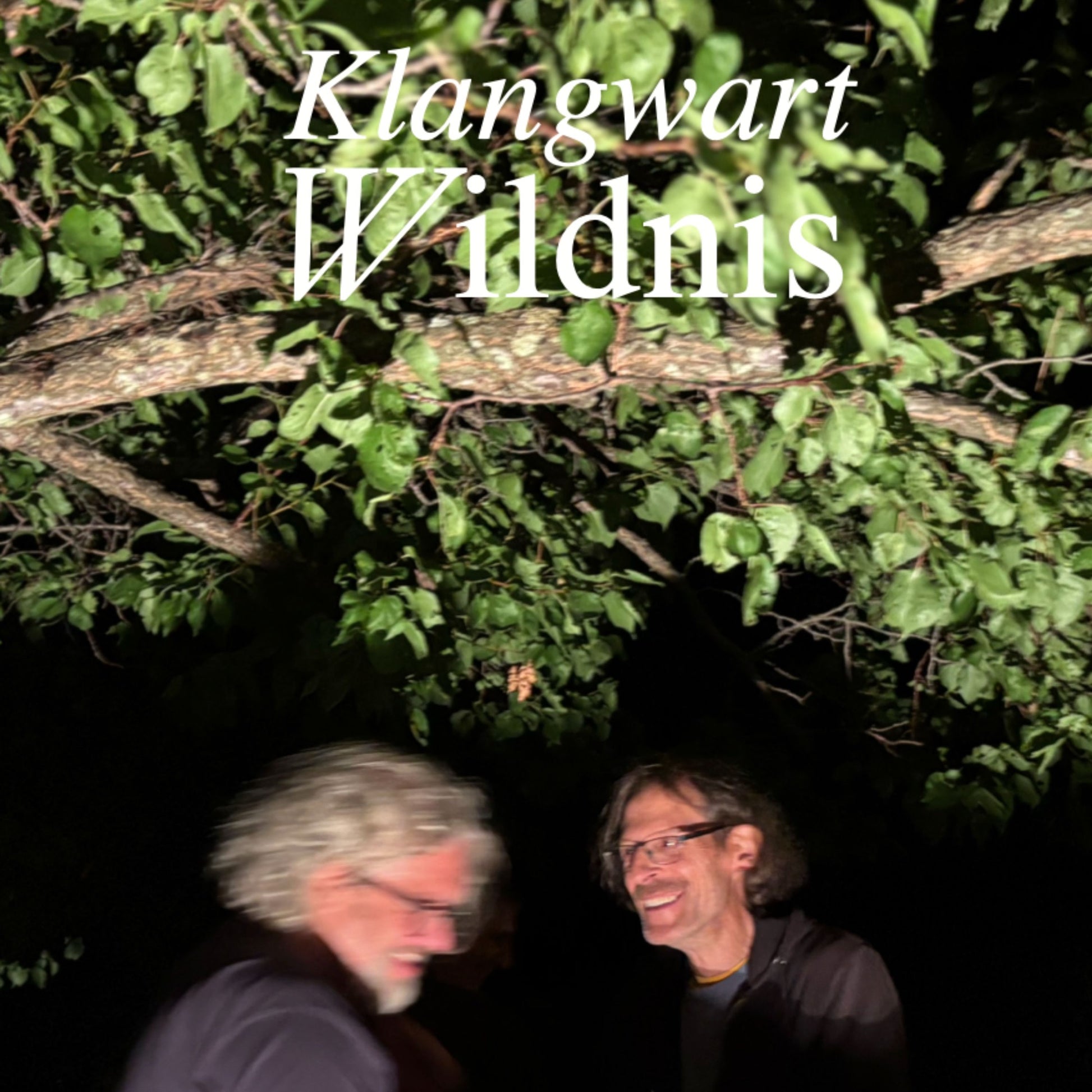 Klangwart - Wildnis Album Cover