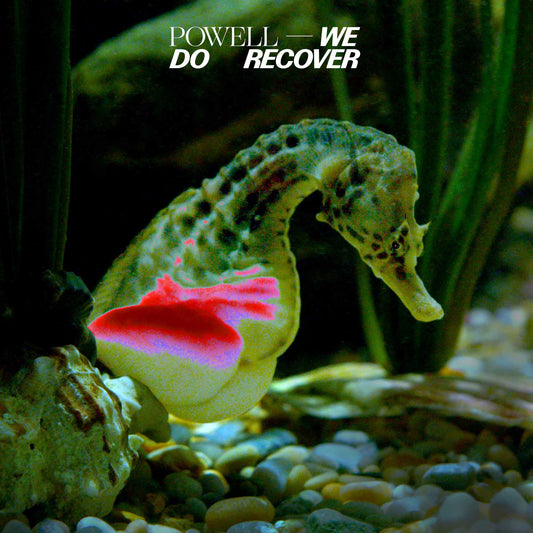 Powell - We Do Recover Album Cover